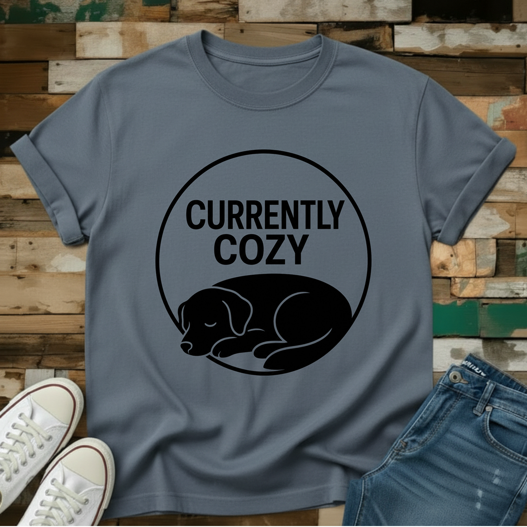 Currently Cozy T-Shirt
