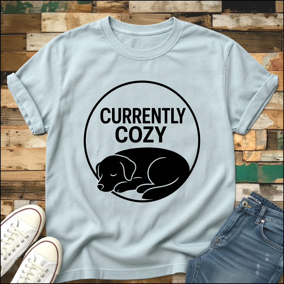 Currently Cozy T-Shirt